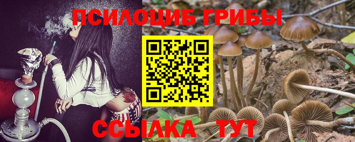 Галлюциногенные грибы ЛСД Кузнецк