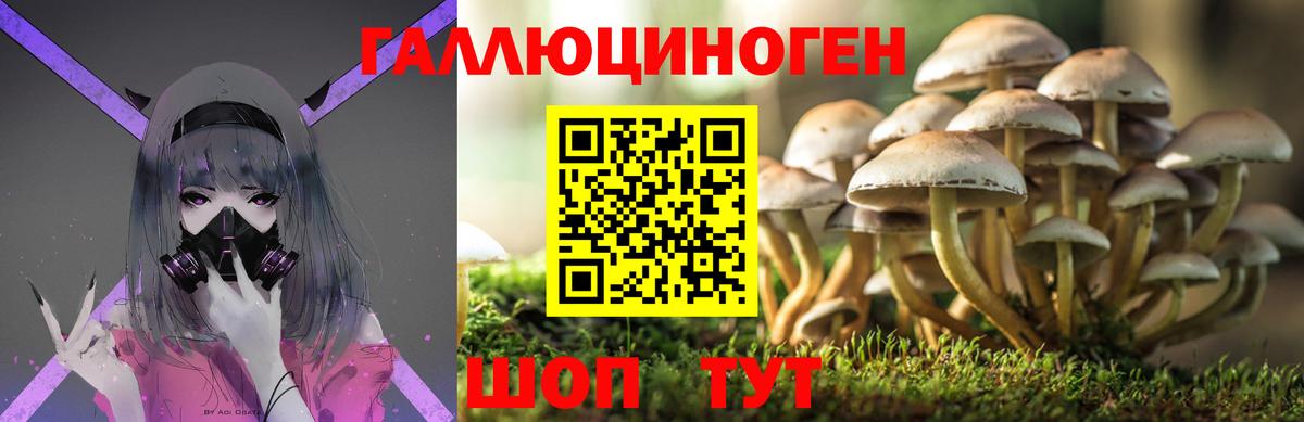 Кузнецк  Псилоцибиновые грибы ЛСД  Вход с VPN 